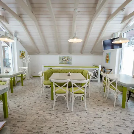 Shale Marso Palyanytsya