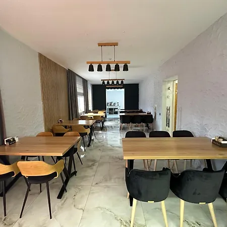 Shale Marso Palyanytsya