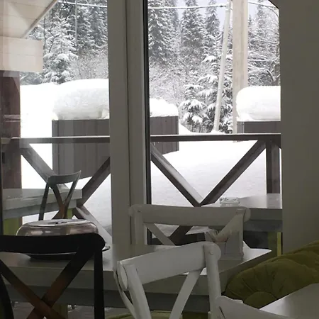 Shale Marso Palyanytsya