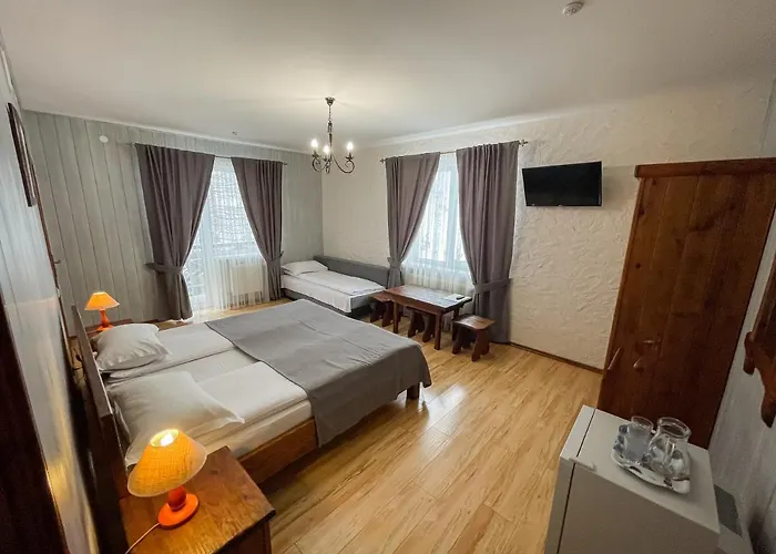 Otel Shale Marso Palyanytsya