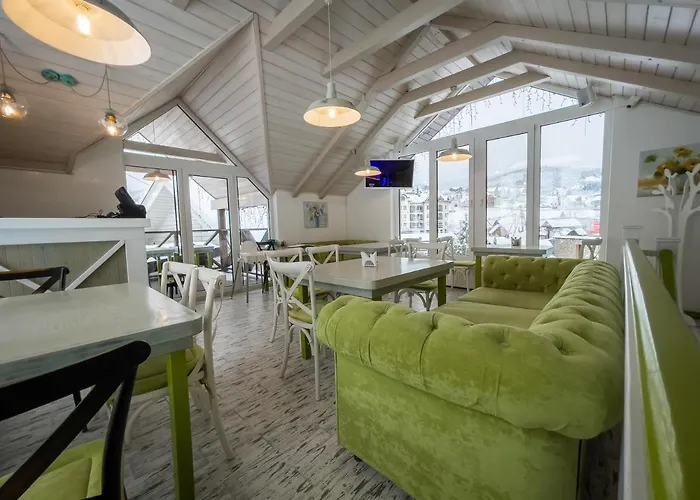 Otel Shale Marso Palyanytsya